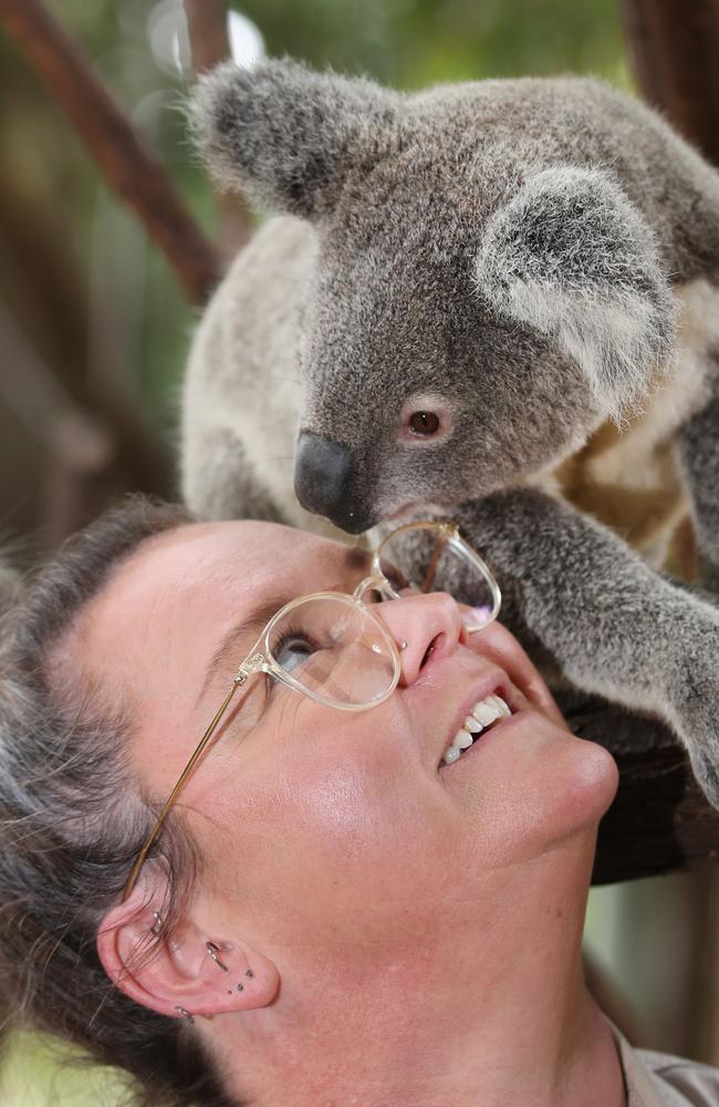 Sarah with one of the koalas at the Sanctuary. Picture Glenn Hampson