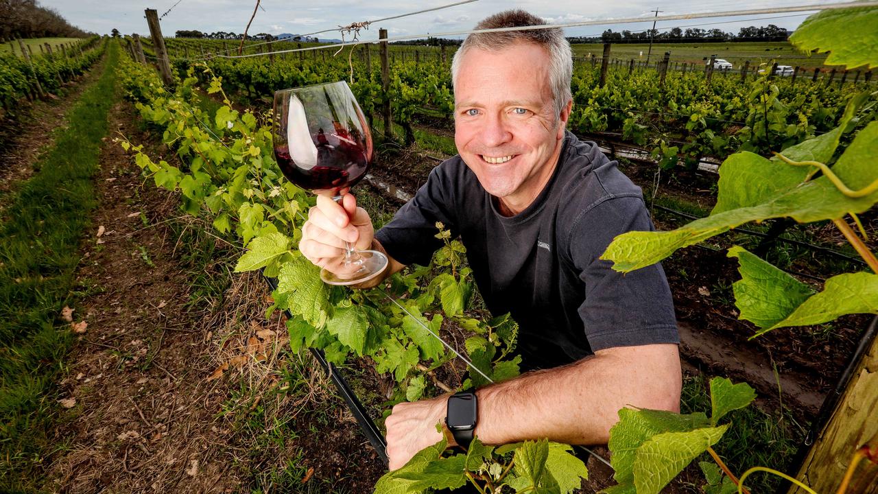 Victorian wine exports are down 33 per cent since China whacked tariffs on Aussie wine, with Yering Station winery owner Darren Rathbone among many affected by the spat. Picture: Tim Carrafa