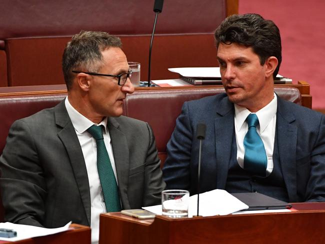 Greens leader Richard Di Natale and Greens Senator Scott Ludlam (R) during Senate Question Time in February. Picture: AAP Image/Mick Tsikas