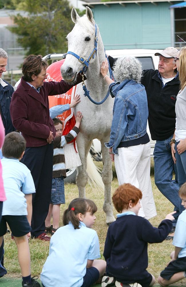 1992 Melbourne Cup winner Subzero visiting Oberon Primary School as part of the Subzero Goes to School Program.  