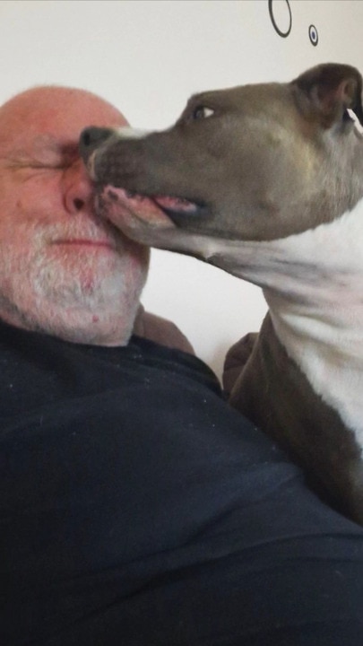 Father-of-four killed in horror Cambrai crash with dog by his side