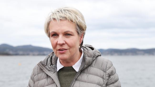 Water Minister Tanya Plibersek. Picture: Nikki Davis-Jones