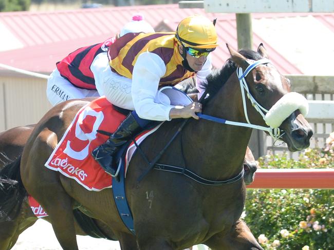 Melisma ridden by Jason Benbow wins the Adam and Ben are Awesome 3YO Maiden Plate at Stony Creek Racecourse on February 15, 2021 in Stony Creek, Australia. (Ross Holburt/Racing Photos via Getty Images)