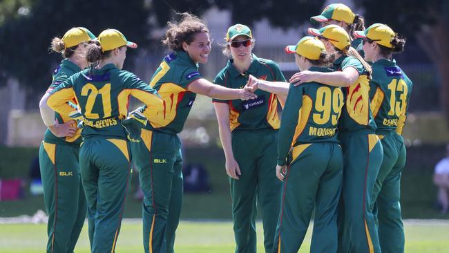 Belinda Vakarewa (3rd from left) celebrates a wicket with Tigers teammates in last season’s WNCL competition (AAP Image for Cricket Australia/Glenn Hunt)