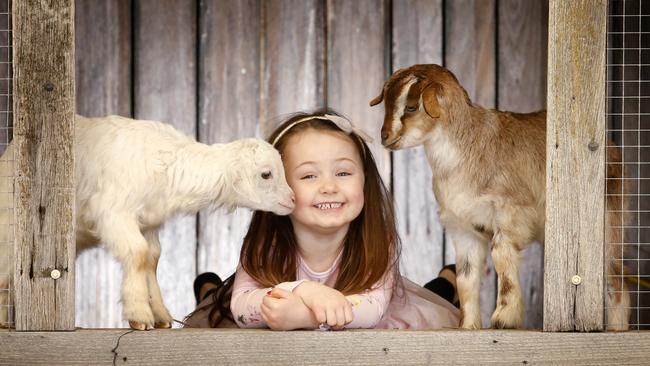 Get up close and personal with baby animals like goats Zazu and Rafiki, pictured with three-year-old Sofie. Picture: David Caird