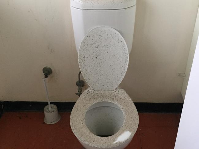 Pictures of dirty, dangerous and dilapidated conditions at Narrabeen Sports High School including this toilet covered in black spots show the”third world” conditions at the Sydney school. Picture: Supplied