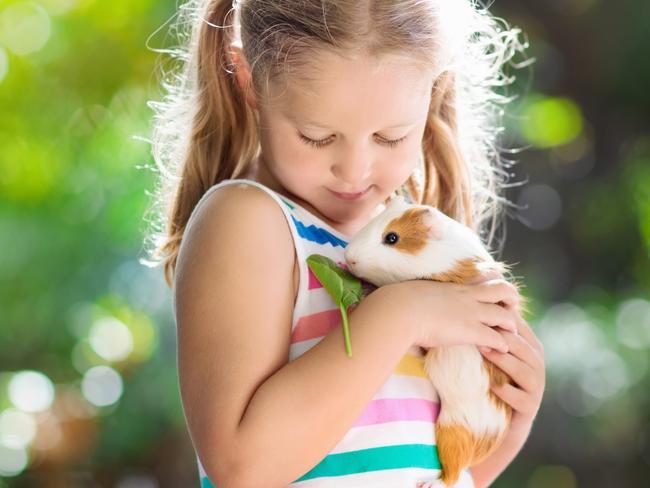 Owning a pet has many health benefits for kids. iStock image. For Kids News Hibernation