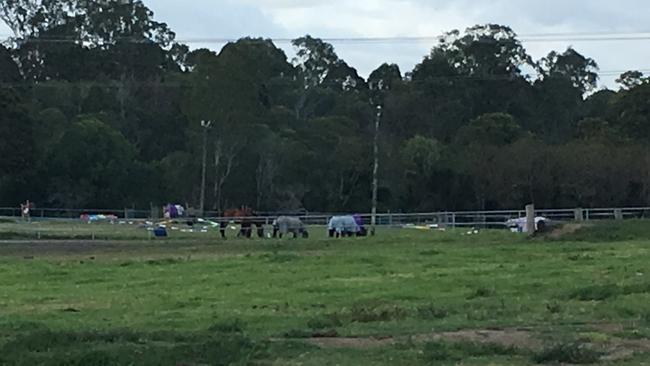 This site at Bill Brown Reserve, currently the home of Bramble Bay Pony Club, will be transformed into a netball hub. Picture: Michelle Smith