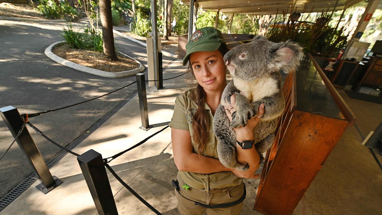 Wildlife officer McKenzie Sirmon with Pretzel at a deserted Lone Pine Koala Sanctuary in Brisbane on Thursday. Picture: Lyndon Mechielsen