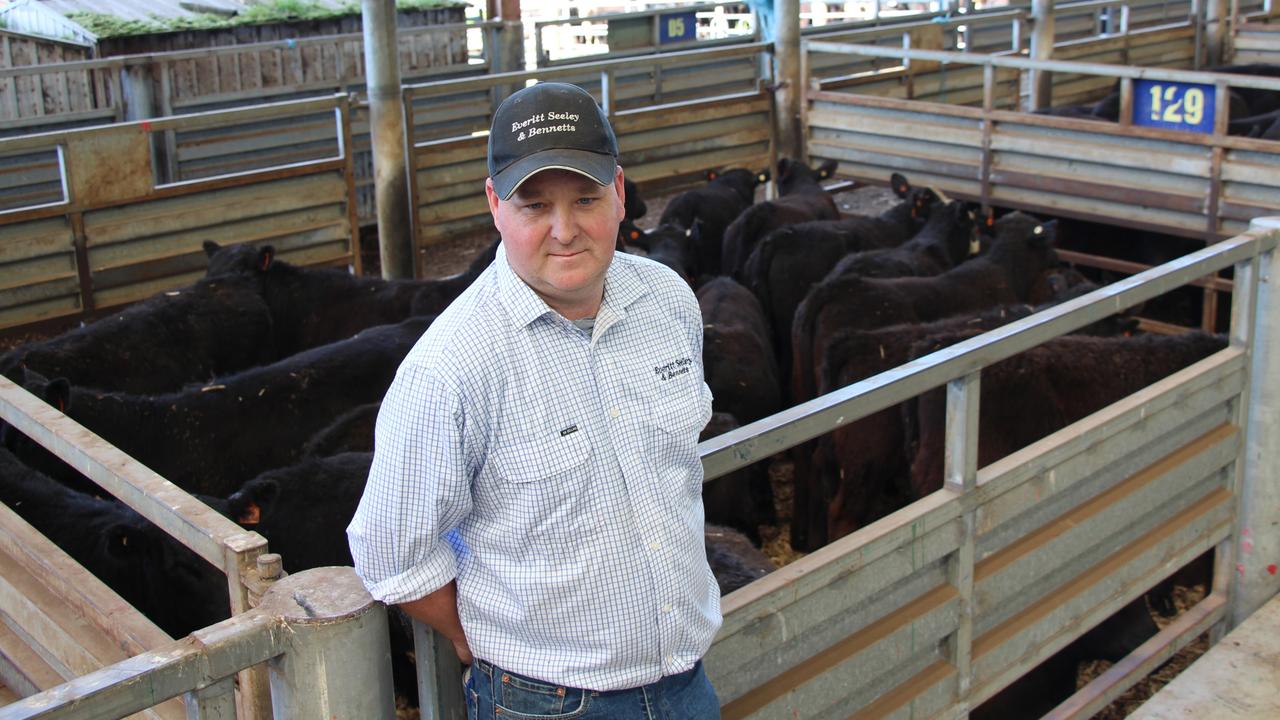 More numbers soften cattle market in Pakenham | The Weekly Times