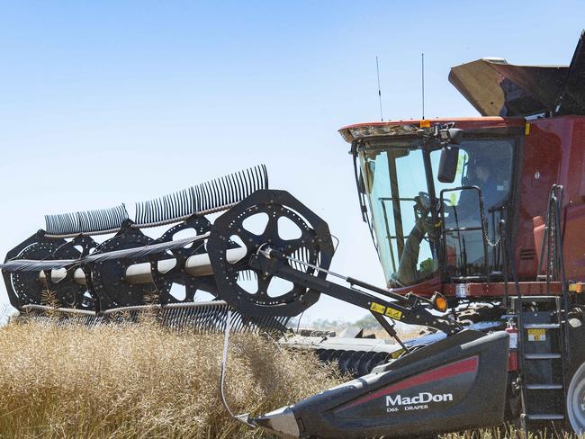 CROPS: Rick Lang Harvest PicsRick Lang is harvesting at Nareewillock. PICTURED: Generic harvest. Harvesting canola.PICTURE: ZOE PHILLIPS