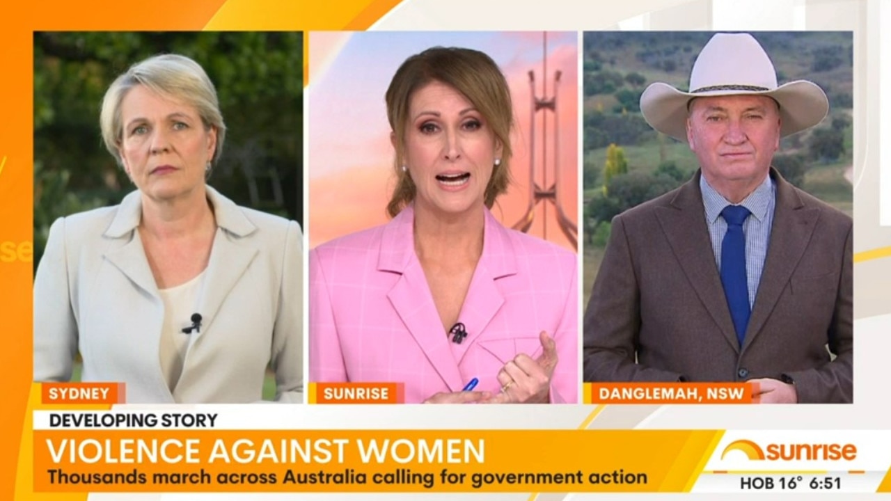 Tanya Plibersek and Barnaby Joyce agree more needs to be done to curb violence against women.