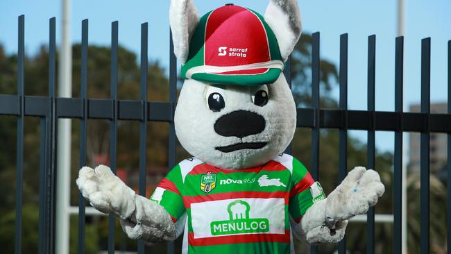 Reggie the Rabbit has been locked out of Redfern Oval. Photo: Justin Lloyd