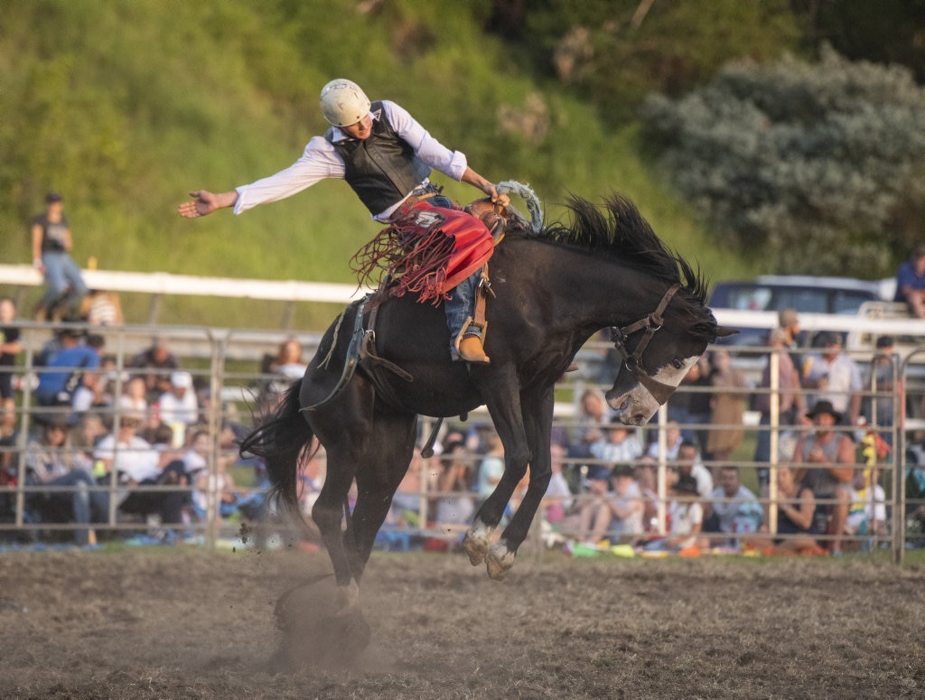 Ben Wickham starts his saddle bronc ride at the Lawrence Twilight Rodeo. Picture: Adam Hourigan