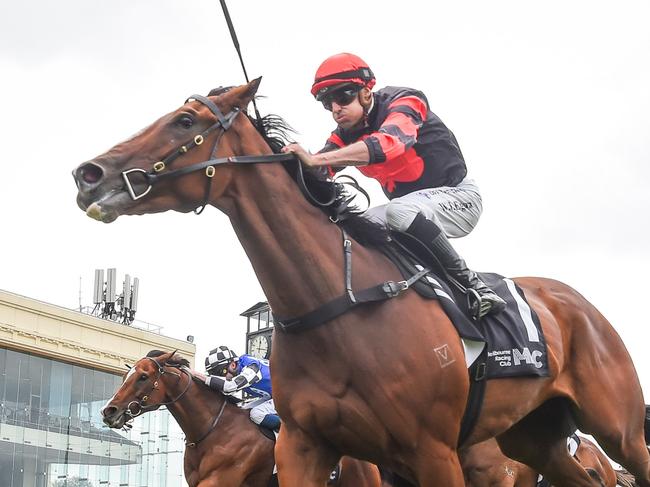 Dunkel (NZ) ridden by Billy Egan wins the Vale Verry Elleegant  at Caulfield Racecourse on February 24, 2024 in Caulfield, Australia. (Photo by Reg Ryan/Racing Photos via Getty Images)