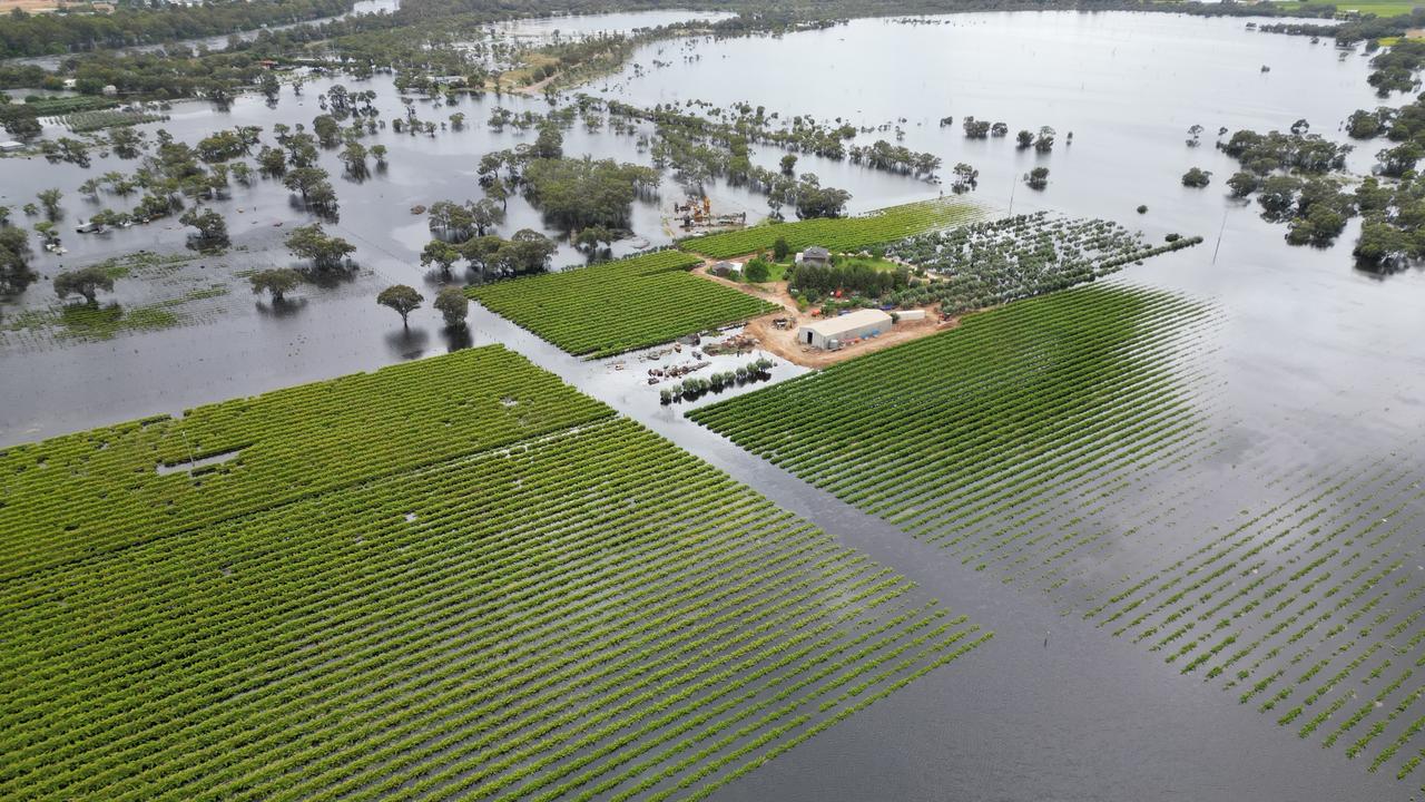 Flooding destroys over 400,000 hectares of land | Herald Sun