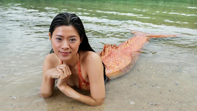 Mako Mermaids creator returns to Gold Coast to film new children's