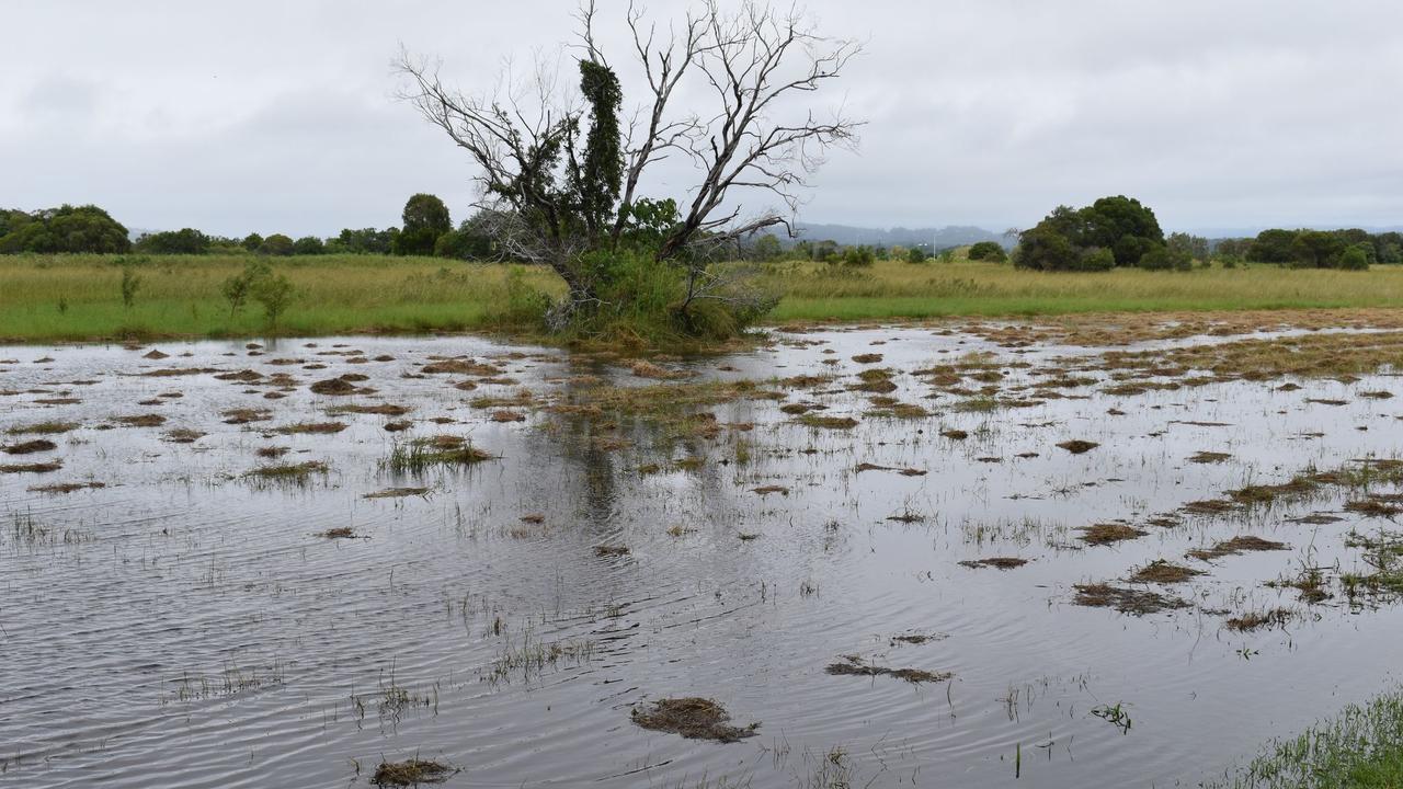 Flooding from March 2022 on the site of the proposed Twin Waters West development. Photo: Iain McCallum.