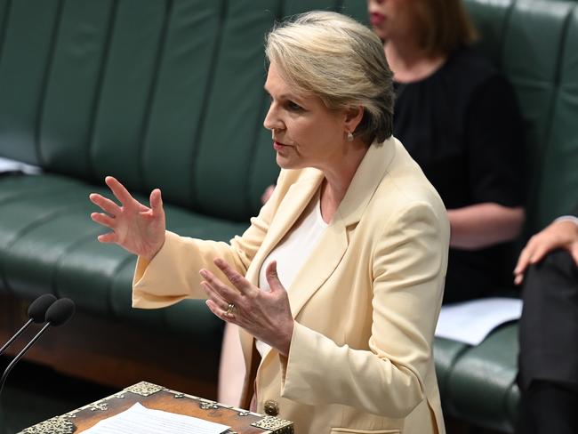 Environment and Water Minister Tanya Plibersek. Picture: NewsWire/Martin Ollman