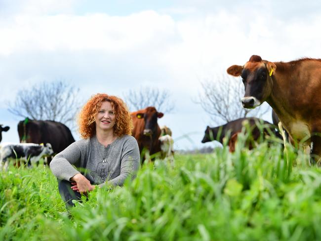 Cathy Palmer and Les Sandles run How Now dairy on 140 hectares at Wunghnu, north of Shepparton. Picture: Zoe Phillips