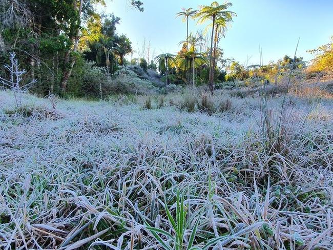 Temperatures dropped to -4 C in Crediton on Wednesday July 15. Cloudbreak Lowlines Cattle and Eungella Beef owner Mandy Tennent captured photos of the early morning frost. Mackay weather, cold, generic.