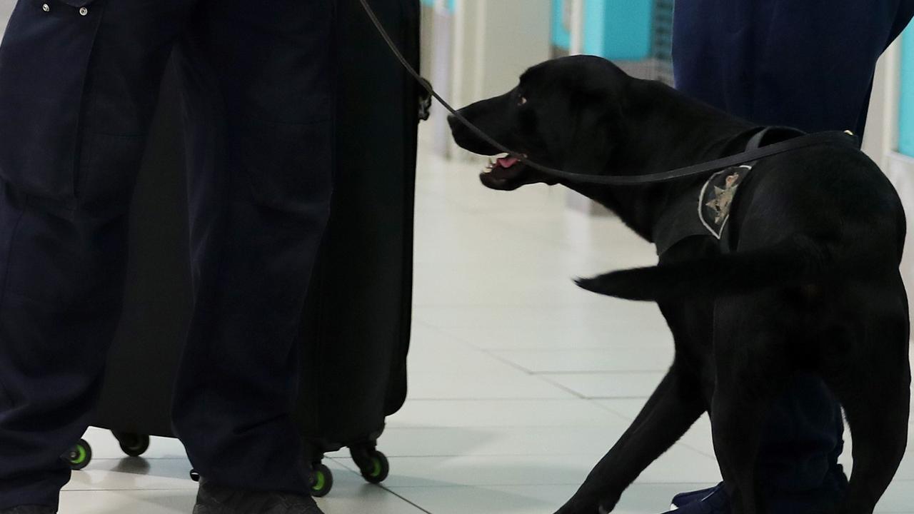 Afp Arrest Woman At Brisbane Airport After Methamphetamine Allegedly