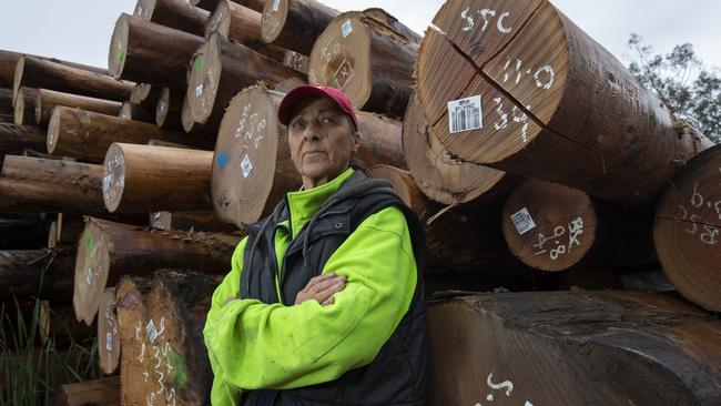 Denise Broxam at her sawmill, Warburton Timber Co, which has been in her family since the 1960s. Photo: Simon Baker