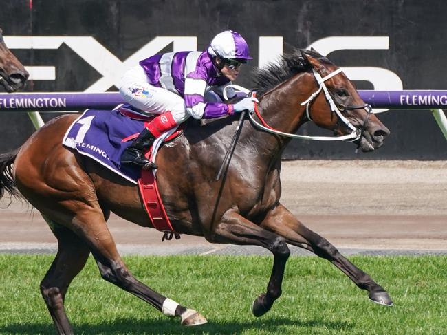 Riff Rocket ridden by Craig Williams wins the CS Hayes Stakes at Flemington Racecourse on February 17, 2024 in Flemington, Australia. (Photo by Scott Barbour/Racing Photos via Getty Images)