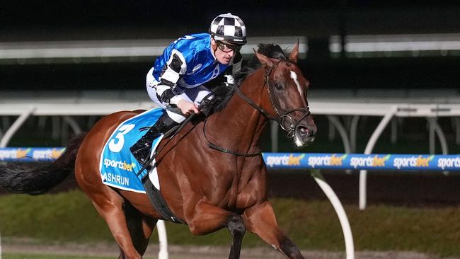 Ashrun will have his final lead-up for the Group 1 Sydney Cup in the Tancred Stakes. Picture: Scott Barbour/Racing Photos via Getty Images