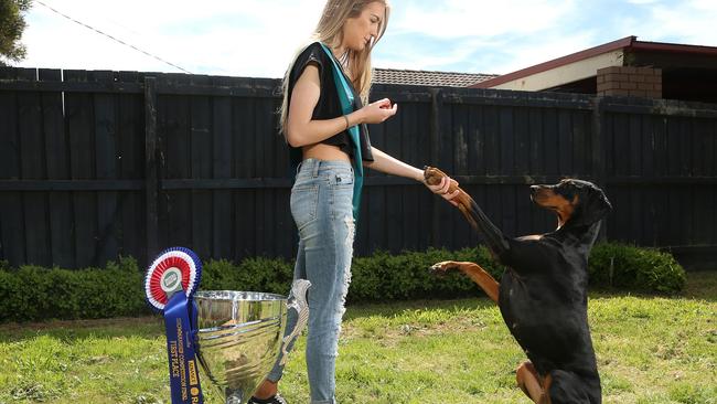 Destiny won best junior handler at the Royal Melbourne Show with her dog Grace in 2017. Picture: Hamish Blair