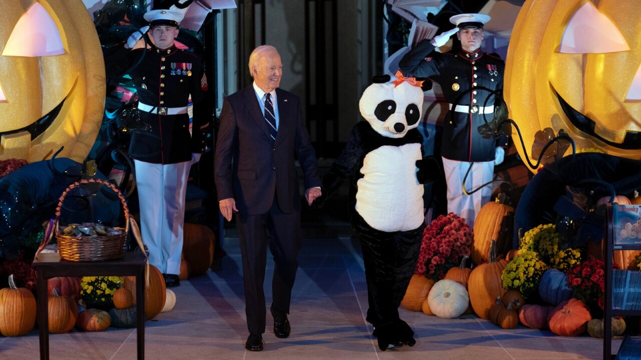 Jill Biden dresses up as a giant panda for White House Halloween event ...