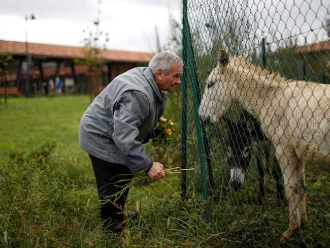 James feeds donkeys during a walk at Village Landais.