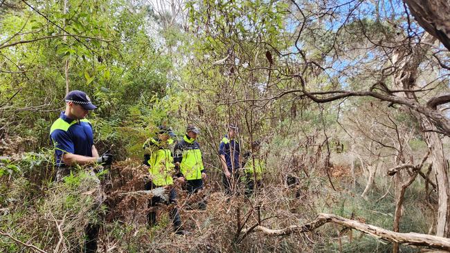 Pictures: Tasmania Police