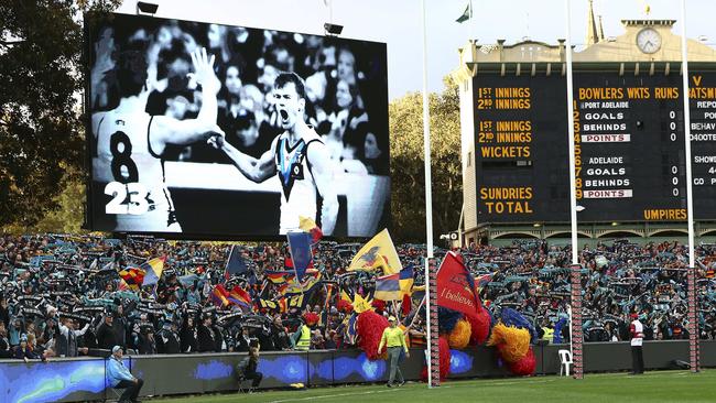 Moving to Adelaide Oval in 2014 has allowed Port Adelaide turnover revenue of $60 million a season — and be profitable for the past four AFL seasons despite not being a regular finalist. The focus is now on generating more money for the Oval’s manager, the Stadium Management Authority. Picture: Sarah Reed.