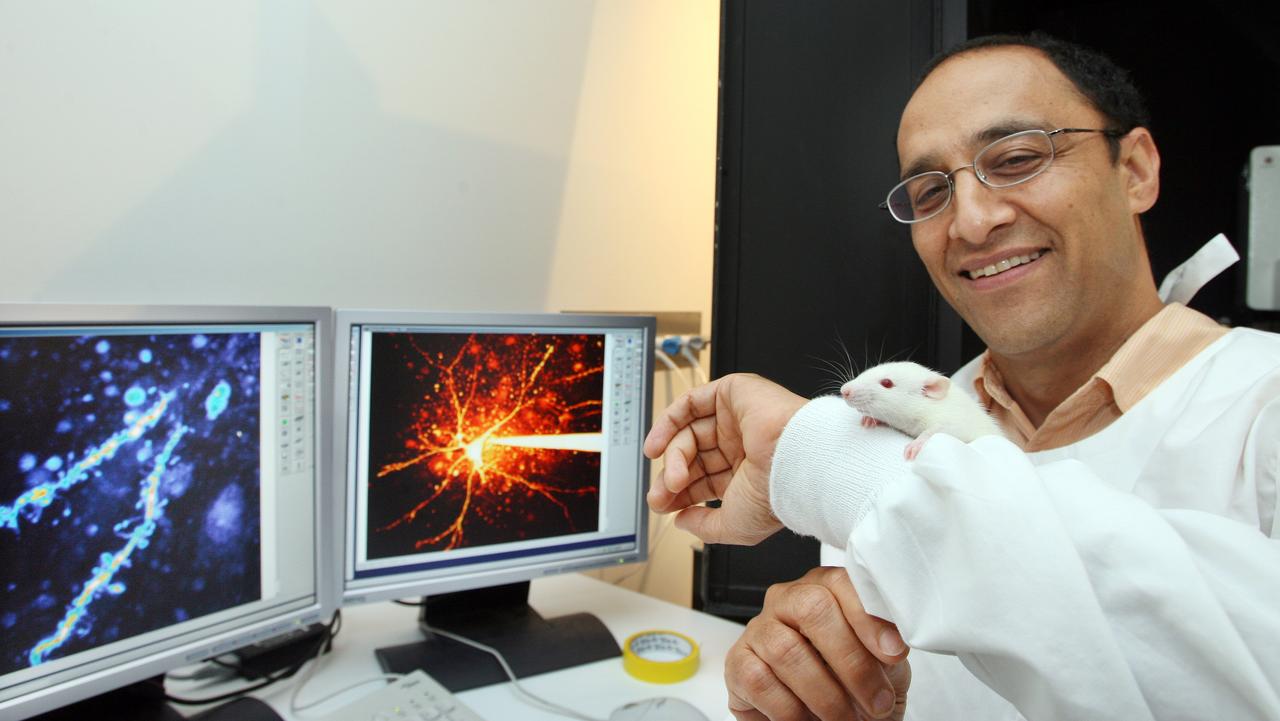 Professor Pankaj Sah - UQ Researchers