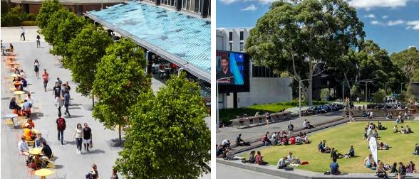 Artist impressions of Charles Darwin University's Darwin CBD campus. Picture: ARM Architecture