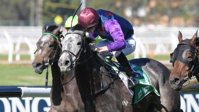 Jockey Jason Collett rides My Blue Jeans to victory in race 3, the Lindsay Murphy Tab Highway, during the Rosehill Gardens Race Day at Rosehill Gardens Racecourse in Sydney, Saturday, July 13, 2019. (AAP Image/Simon Bullard) NO ARCHIVING, EDITORIAL USE ONLY