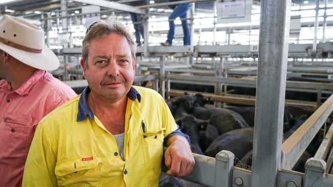 Brett Orr, from Buckley, sold 22 steers and two cows and calf outfits. Picture: Rachel Simmonds