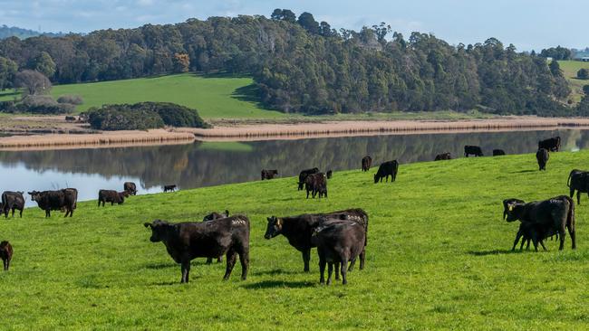 Frank Archer’s property Landfall at Dilston, near Launceston, on the Tamar River. Picture: Phillip Biggs