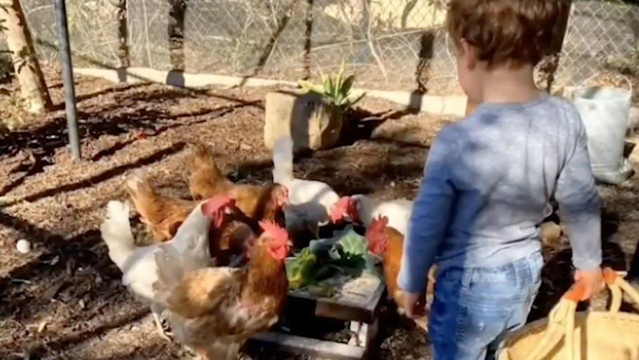 Meghan Markle recently shared a photo of Archie in the garden of their LA home feeding the chickens.