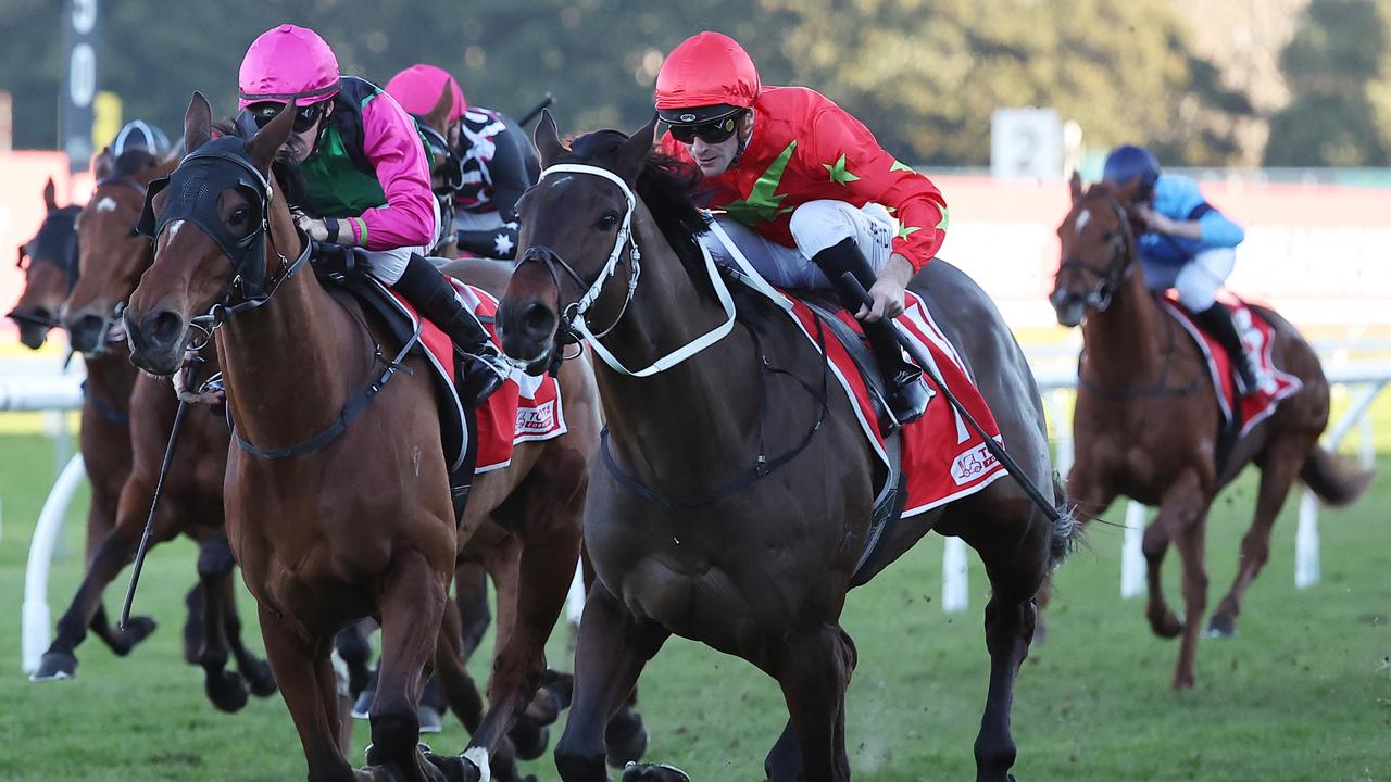 Aramco is a key chance in Saturday’s Premiers Cup Prelude at Randwick. Picture: Jeremy Ng / Getty Images