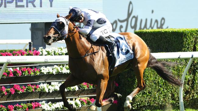 SYDNEY, AUSTRALIA - DECEMBER 14: Tim Clark riding Robusto Ã¢â¬â¹wins Race 8 The Ingham during Sydney Racing at Royal Randwick Racecourse on December 14, 2024 in Sydney, Australia. (Photo by Jeremy Ng/Getty Images)