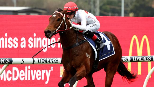 Hard To Say drops to 52.5kg in Saturday’s Group 1 Oakleigh Plate at Caulfield. Picture: Getty Images