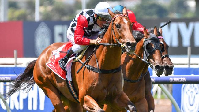 Diamond Effort is a great chance in the last on Derby Day. Picture: AAP