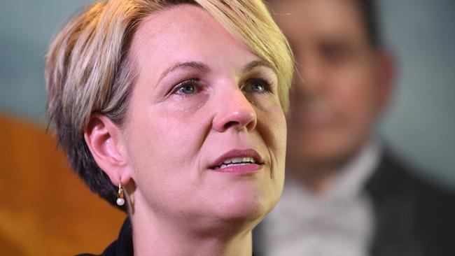 Labor deputy leader Tanya Plibersek said voter turnout would be crucial and apathy could lead to defeat for those who want reform.