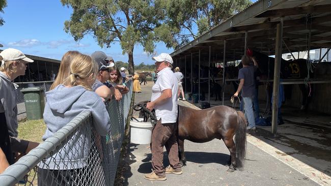 Trainer Mick Bell with his stable's pony.