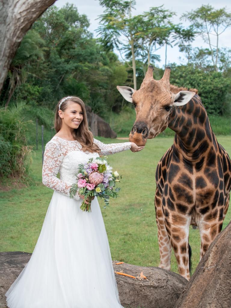 Bindi Irwin feeding a giraffe. Picture: Kate Berry