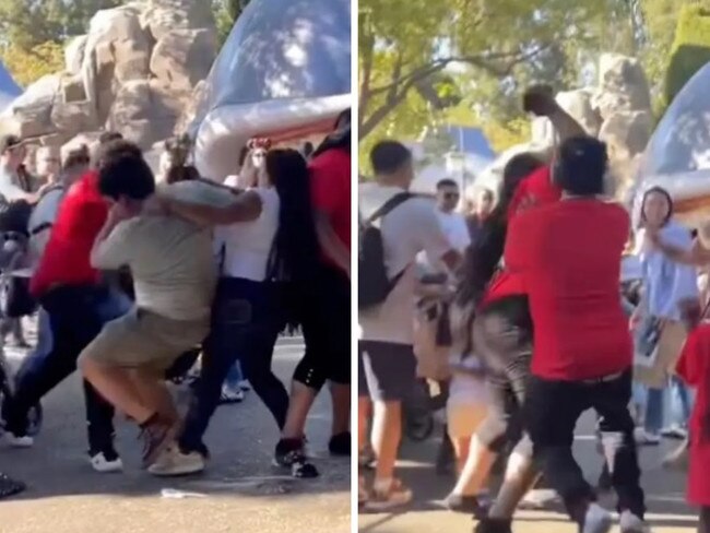 Shocking viral footage from Disneyland shows a group of adults in a wild brawl at the famed Anaheim, California, theme park.