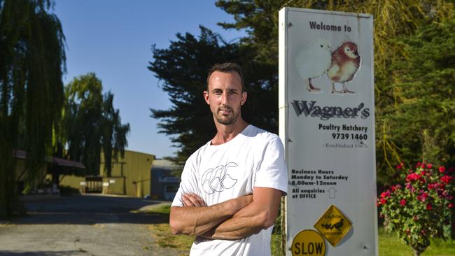 Fed up: Steve Wagner at the Coldstream property where his family runs their business Wagner's Poultry Hatchery. Only after an alarm system was installed in chicken sheds was the family’s suspicions of frequent break-ins confirmed. Picture: Dannika Bonser