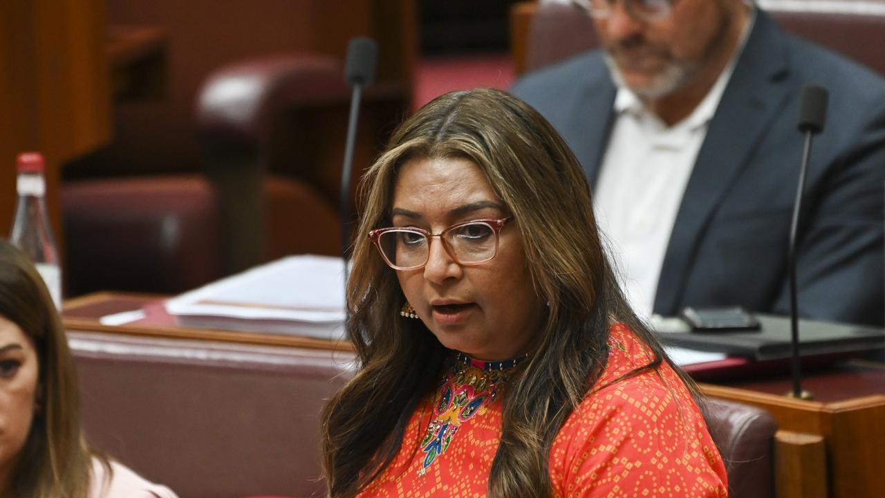 Mehreen Faruqi said Pauline Hanson did insult her. Picture: NCA NewsWire / Martin Ollman